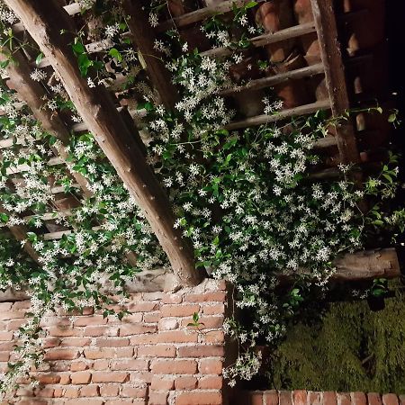 Az.Agr.Cascina Moretta Momo Dış mekan fotoğraf