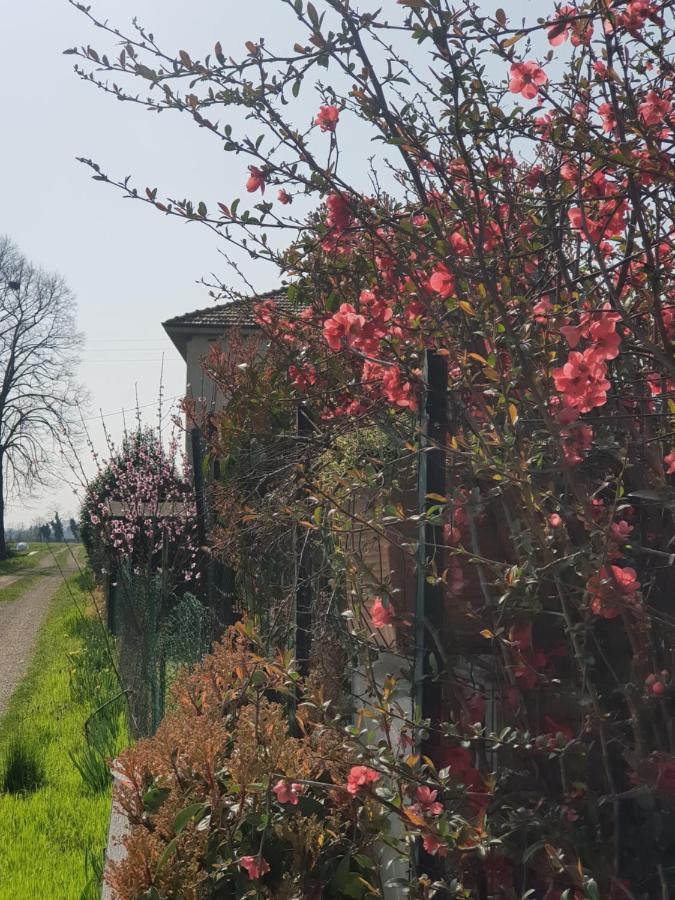 Az.Agr.Cascina Moretta Momo Dış mekan fotoğraf