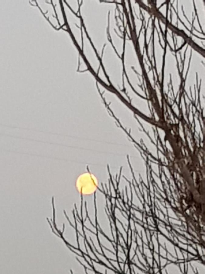 Az.Agr.Cascina Moretta Momo Dış mekan fotoğraf
