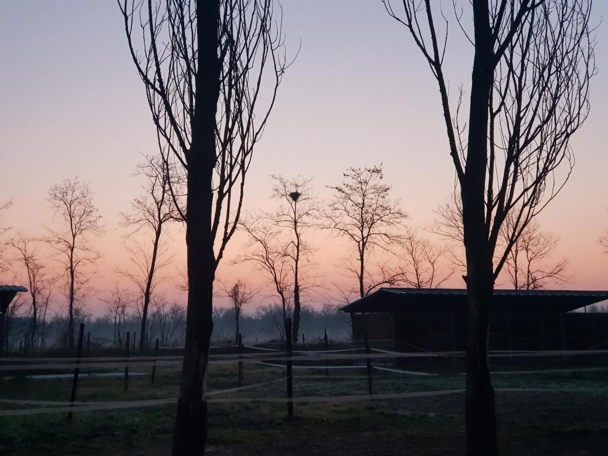 Az.Agr.Cascina Moretta Momo Dış mekan fotoğraf