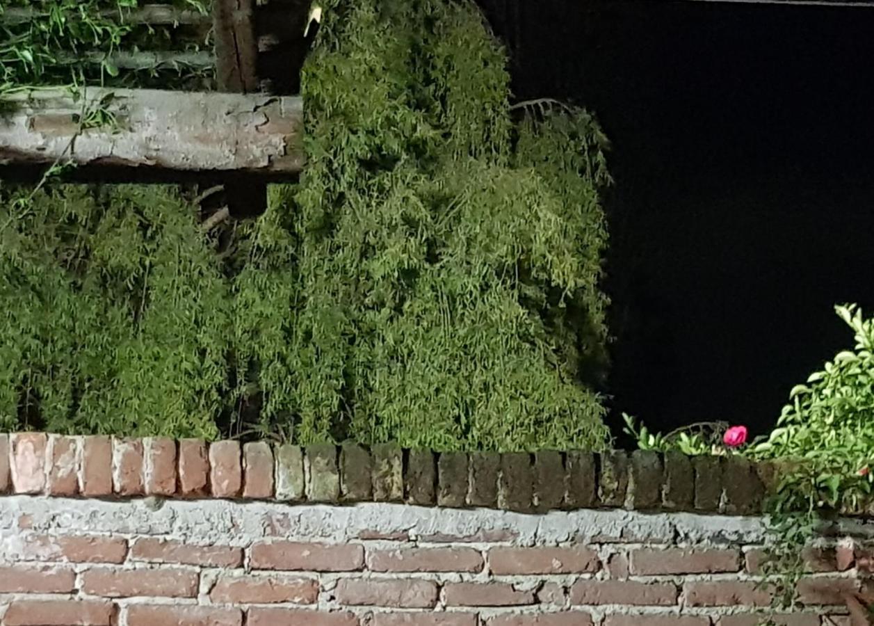 Az.Agr.Cascina Moretta Momo Dış mekan fotoğraf