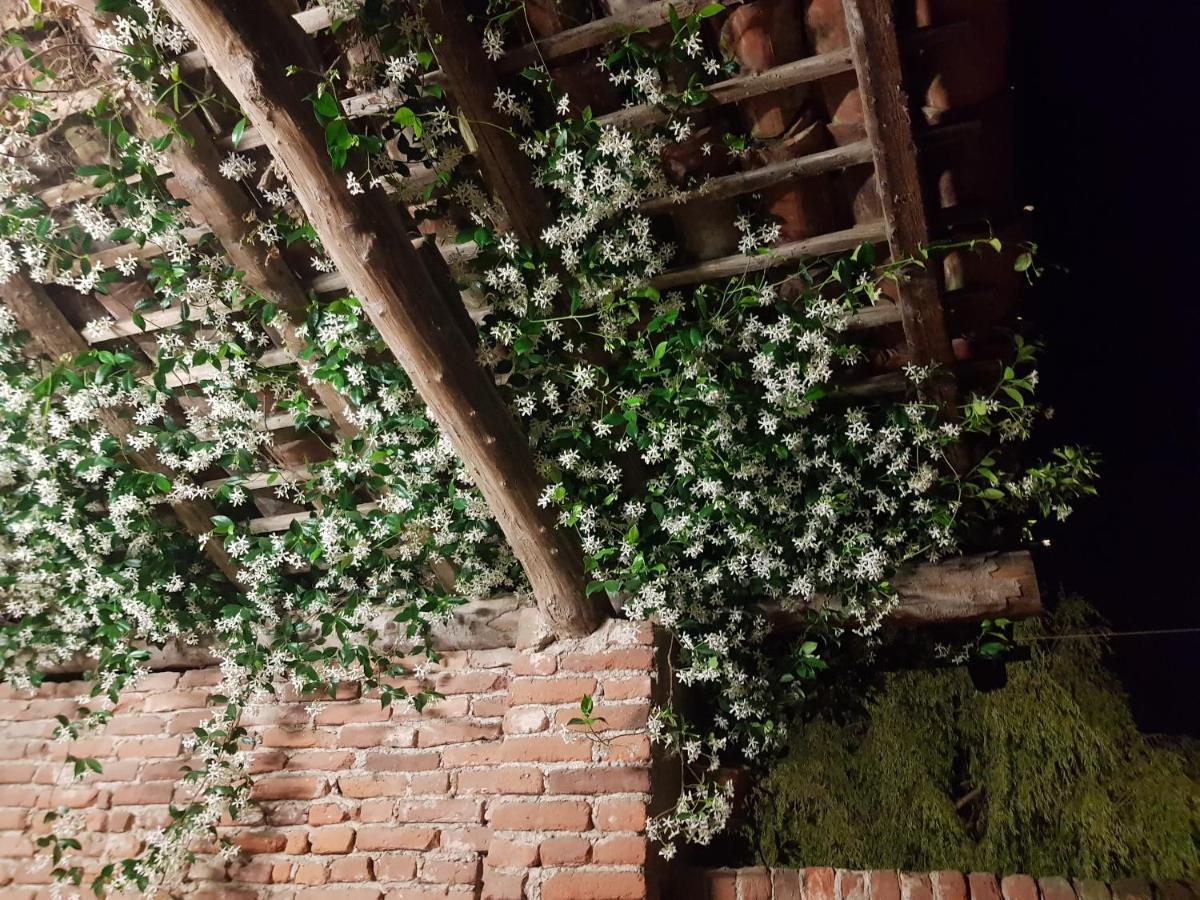 Az.Agr.Cascina Moretta Momo Dış mekan fotoğraf