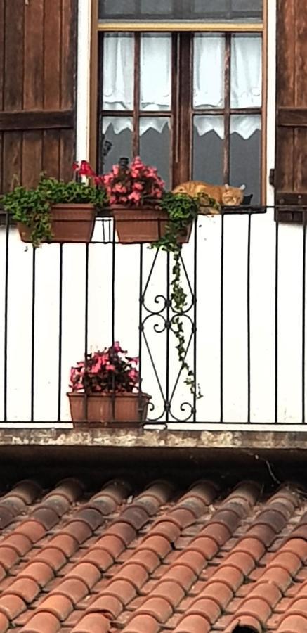 Az.Agr.Cascina Moretta Momo Dış mekan fotoğraf