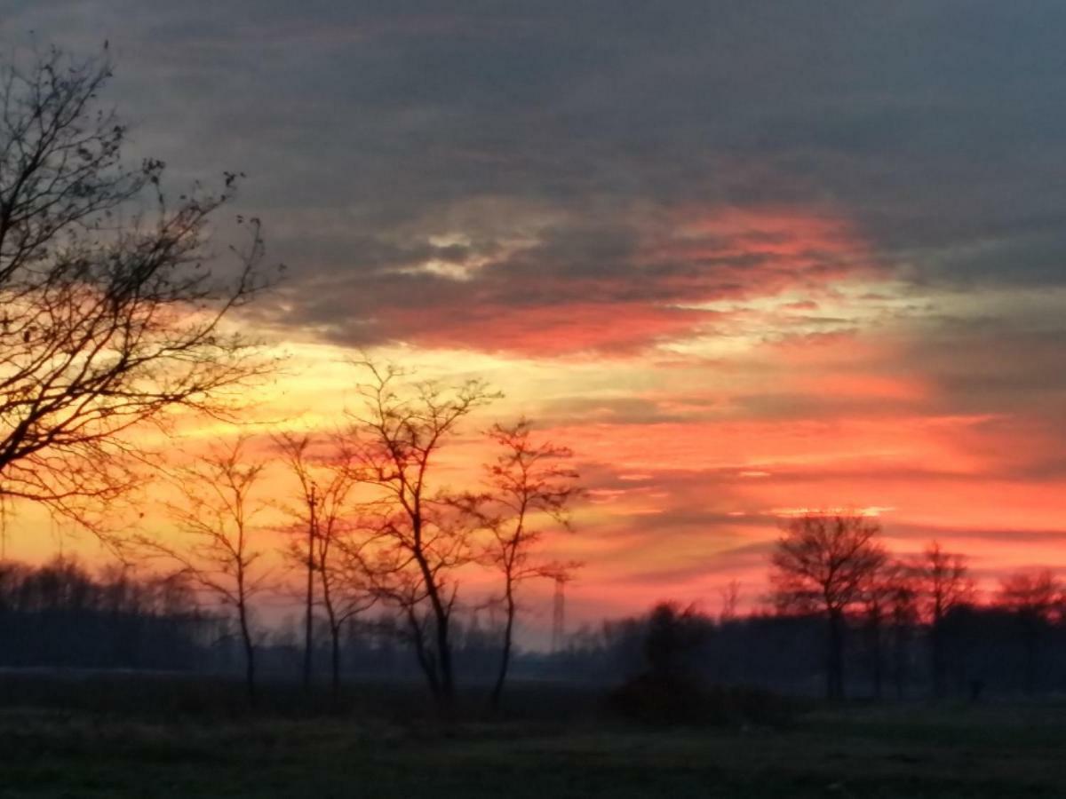 Az.Agr.Cascina Moretta Momo Dış mekan fotoğraf