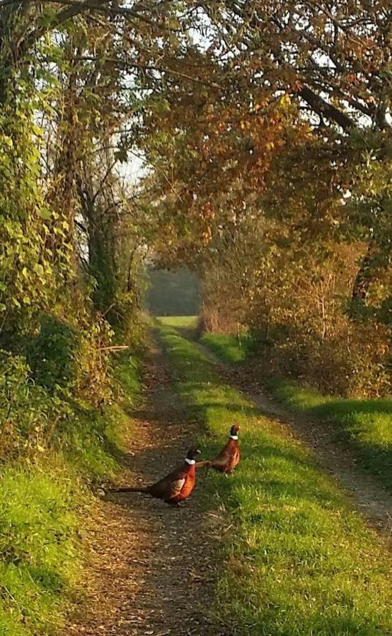 Az.Agr.Cascina Moretta Momo Dış mekan fotoğraf