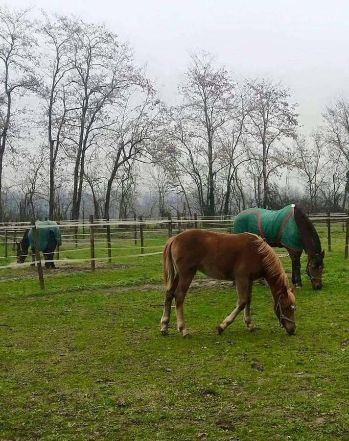 Az.Agr.Cascina Moretta Momo Dış mekan fotoğraf