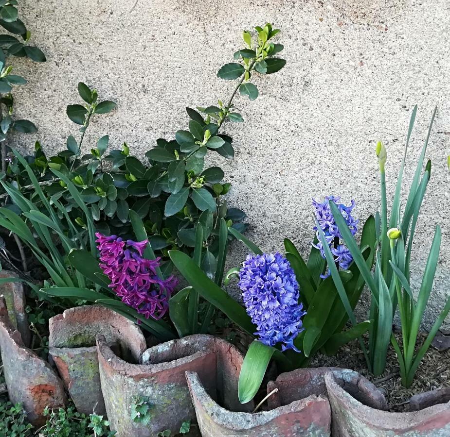 Az.Agr.Cascina Moretta Momo Dış mekan fotoğraf