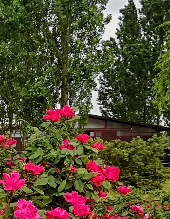 Az.Agr.Cascina Moretta Momo Dış mekan fotoğraf