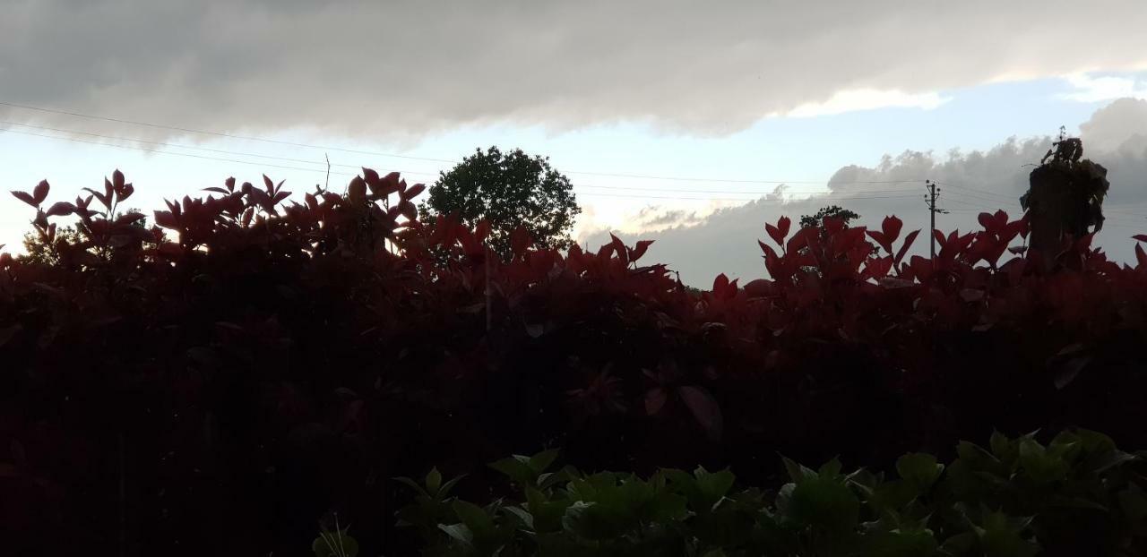 Az.Agr.Cascina Moretta Momo Dış mekan fotoğraf