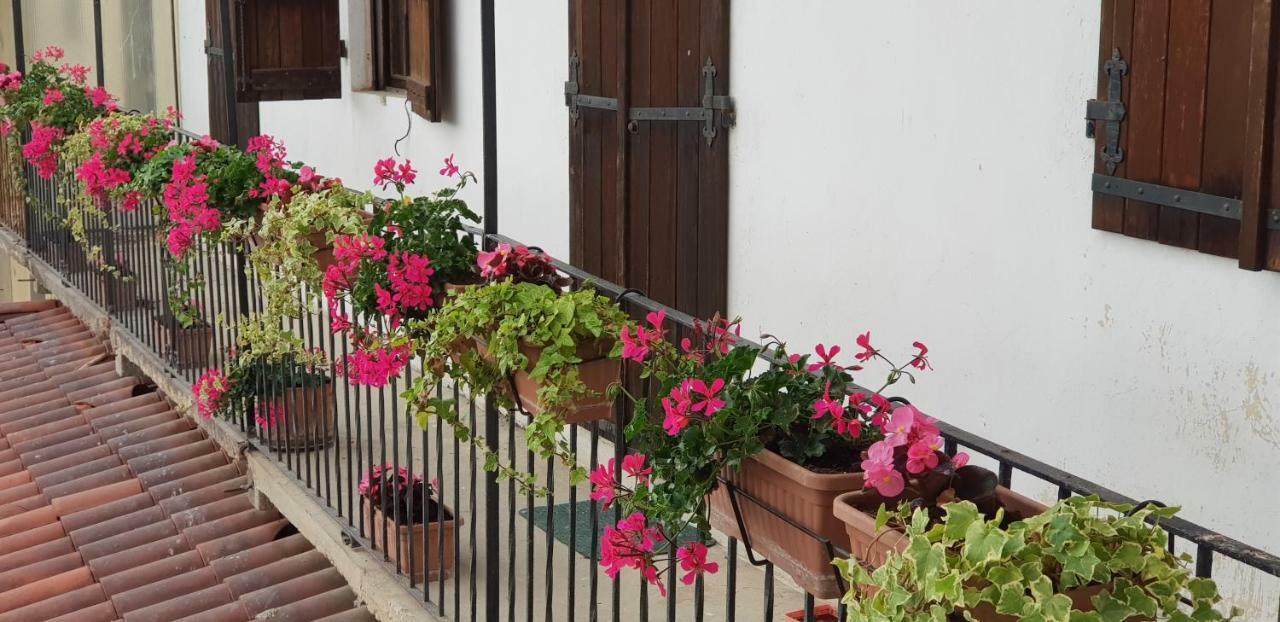 Az.Agr.Cascina Moretta Momo Dış mekan fotoğraf