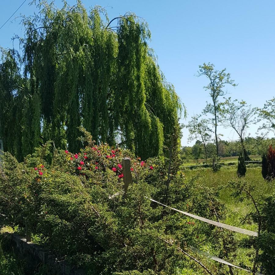 Az.Agr.Cascina Moretta Momo Dış mekan fotoğraf