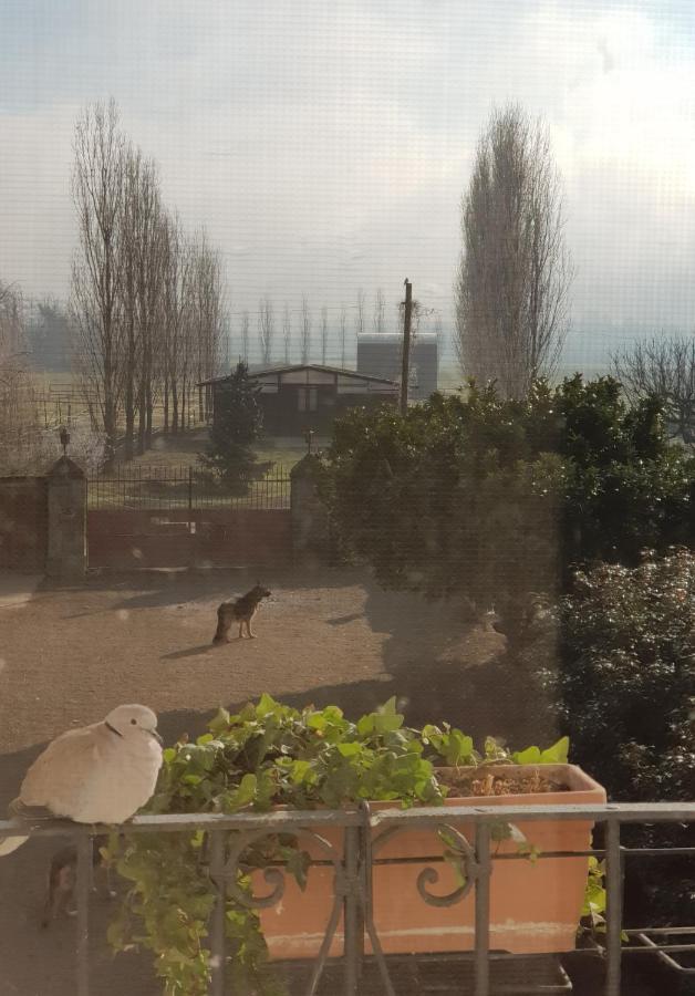 Az.Agr.Cascina Moretta Momo Dış mekan fotoğraf