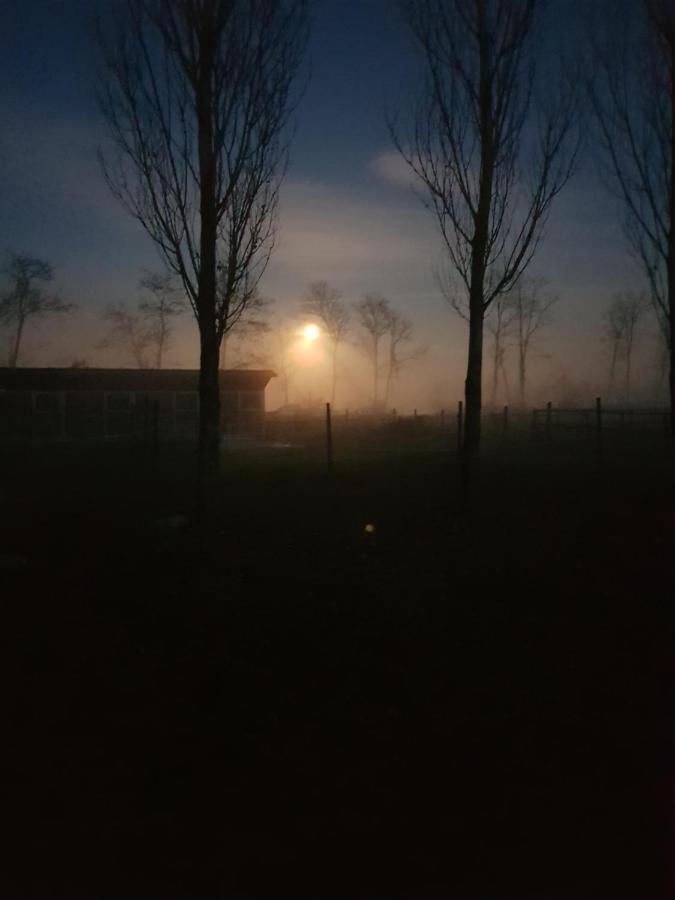 Az.Agr.Cascina Moretta Momo Dış mekan fotoğraf