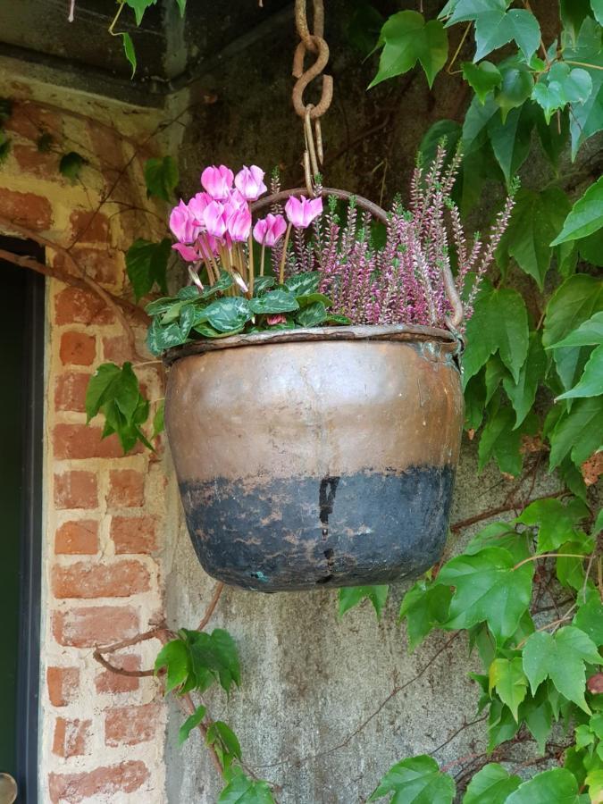 Az.Agr.Cascina Moretta Momo Dış mekan fotoğraf